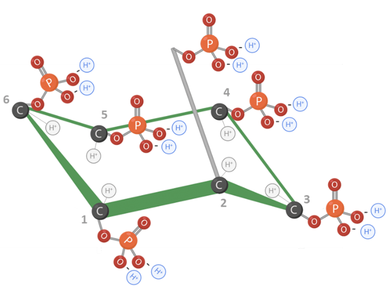 Figura 1: Estrutura molecular do ácido fítico. Adaptado de Vieira et al., 2018