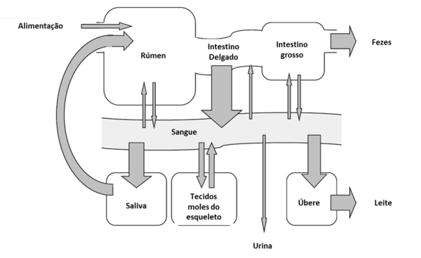figure 2 PT