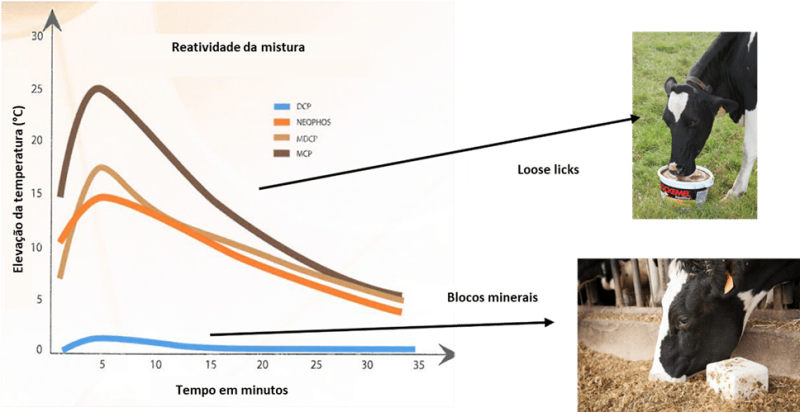 figure 3 PT